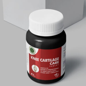 Knee cartiage care